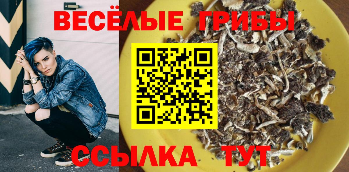 Псилоцибиновые грибы Psilocybine cubensis Рассказово