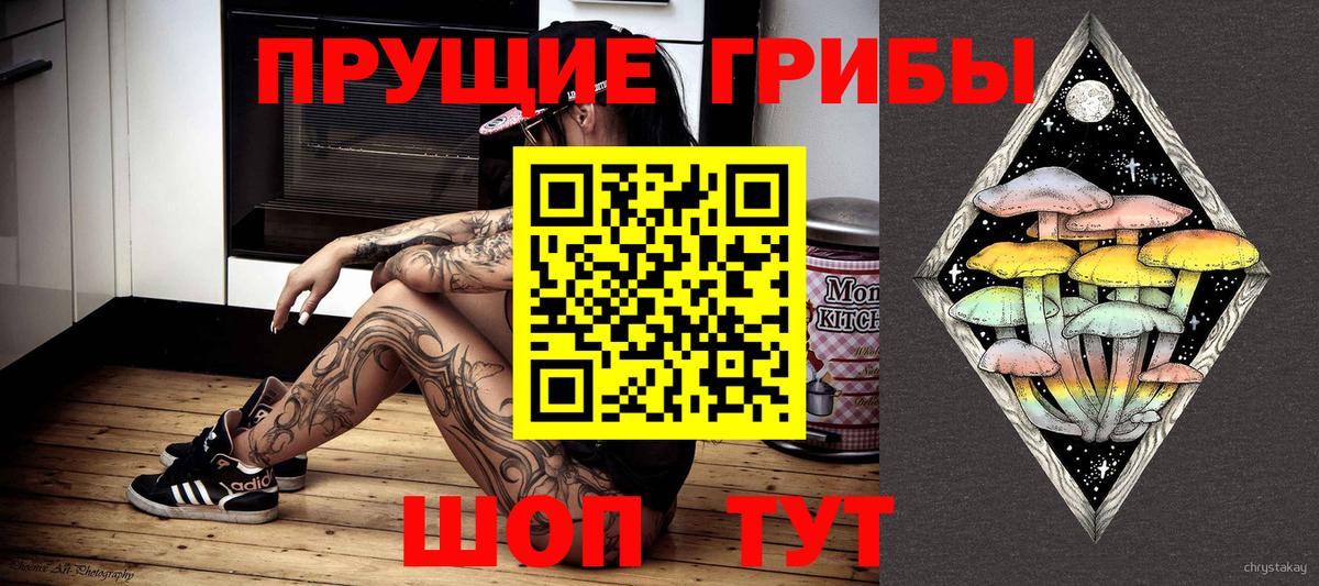 Рассказово  Псилоцибиновые грибы прущие грибы  Вход с VPN 